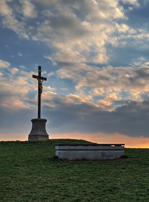 Zarostla cestička