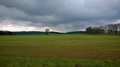 Balada o smutném koníčkovi