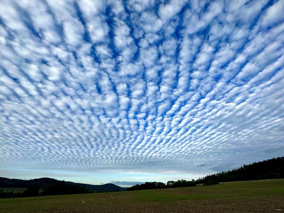 koňadra