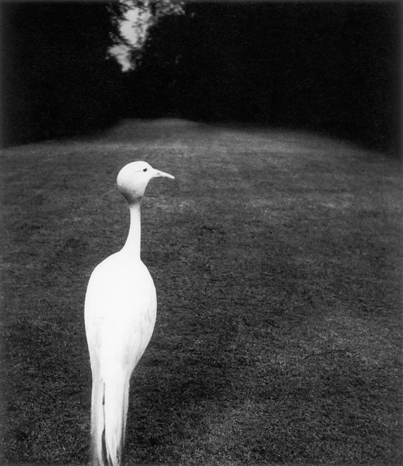 Bill Brandt