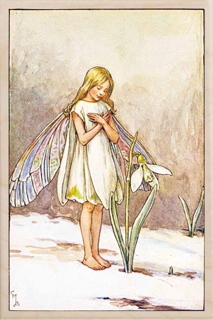 cicely mary barker