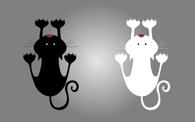 ************************