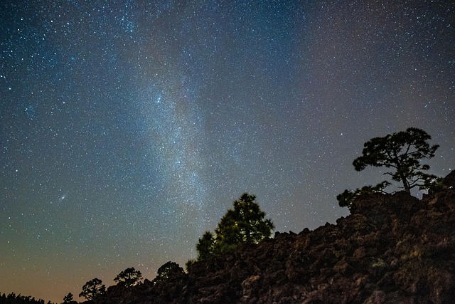 .....................