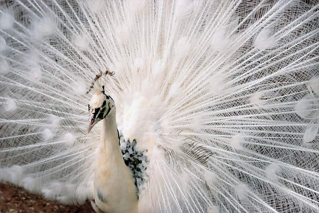 ůůůůůůůůůůůůůůůůů
